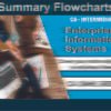 CA Inter Enterprise Information System Flow Chart Book by CA SAHIL GROVER